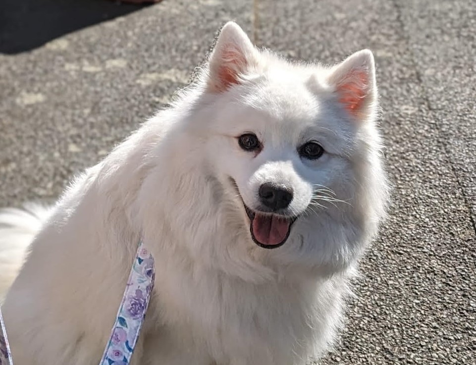 Skye